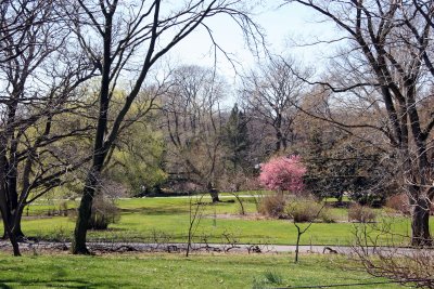 Spring View of the Grounds