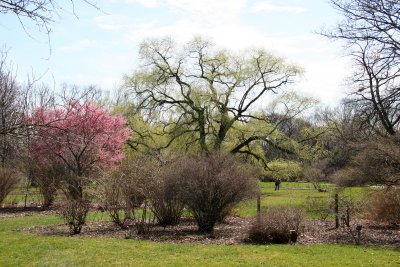 Grounds - Spring View