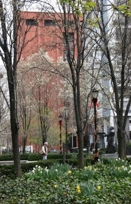 Garden View - Pear Trees & NYU Library