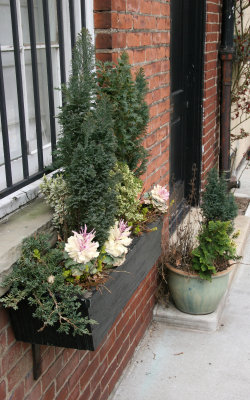 Outdoor Garden