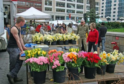 Saturday at the Farmers Flower Market