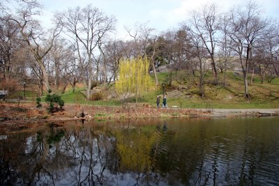 Harlem Meer Shore