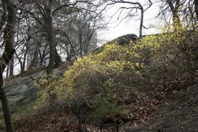 View toward Fort Fish - Harlem Meet