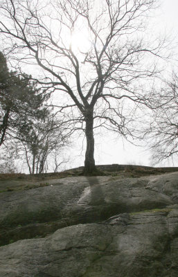 Near Fort Fish - Harlem Meer