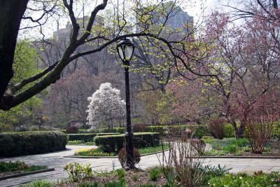 Conservatory Gardens