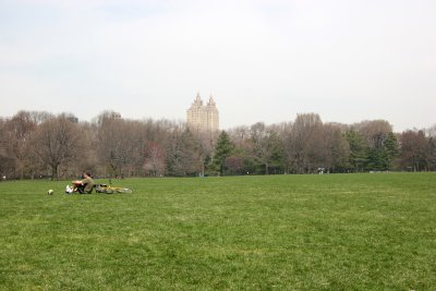 The Great Lawn