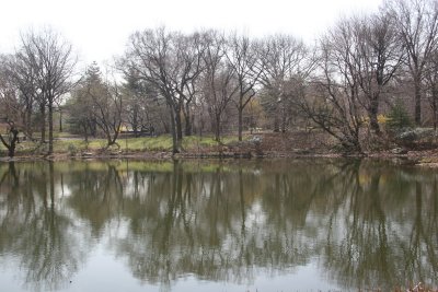 Belvedere Castle and Turtle Pond