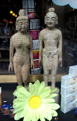 Acupuncture Models - East West Bookstore