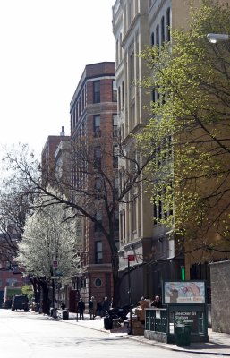 Street View - Eastern Horizon