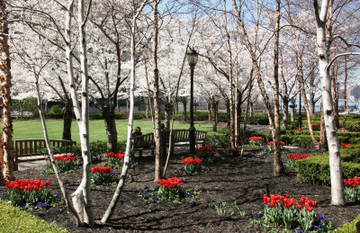 Financial Center Gardens