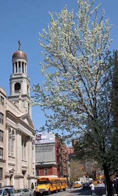 Our Lady of Pompei Church