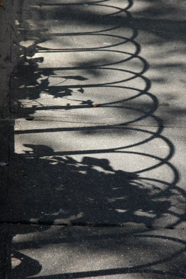 Sidewalk Garden Shadows