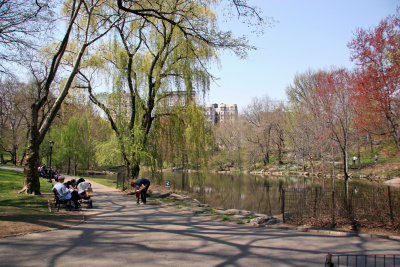North Pool Area - Central Park