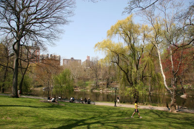 North Pool Area