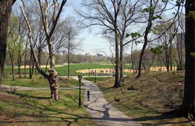 North Meadow Area - Central Park