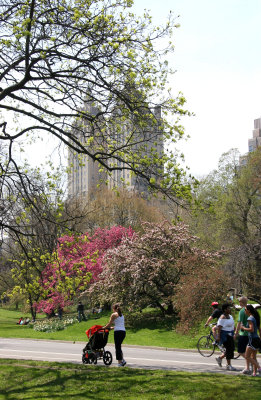 Central Park West near West 96th Street