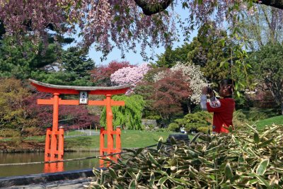 Japanese Garden