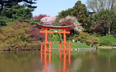 Japanese Garden