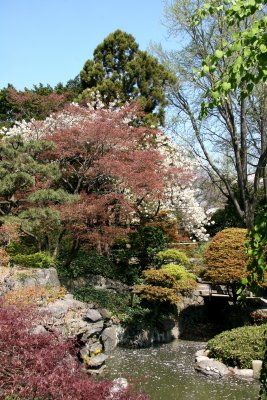 Japanese Garden