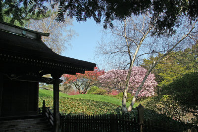 Japanese Garden