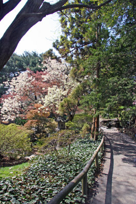 Japanese Garden