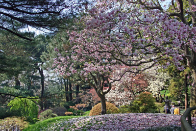 Japanese Garden