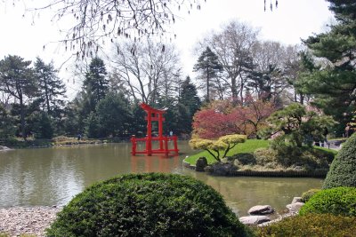 Japanese Garden