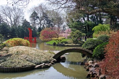 Japanese Garden