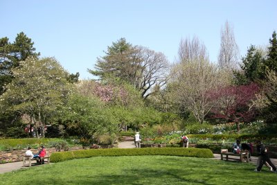 Scent Garden - Brooklyn Botanic Gardens