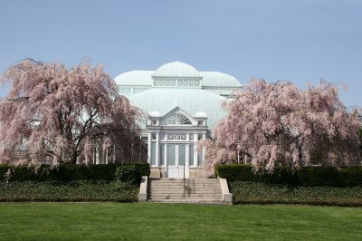 Conservatory & Cherry Tree Blossoms