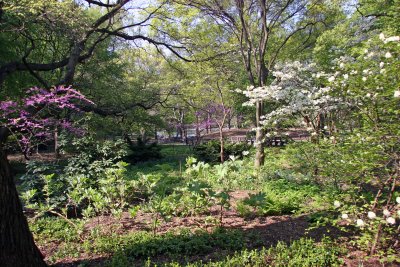 Near the Children's Gate at 5th Avenue & 75th Street