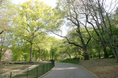 Near the Children's Gate at 5th Avenue & 75th Street