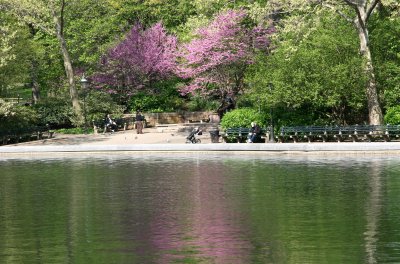 Conservatory Pond Area