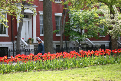 Tulips & WSN Historic Residences
