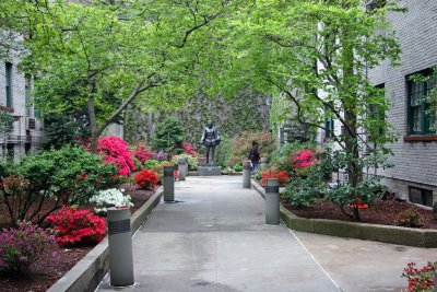 Azalea Garden - NYU Cervantes Courtyard