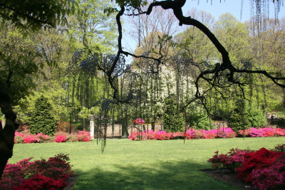 Osborne Garden