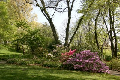 Native Plant Garden - Brooklyn Botanic Gardens