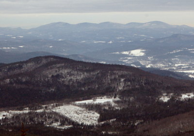 DSC_3811a.jpg