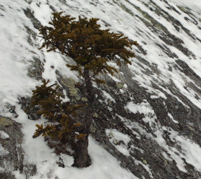 DSC_3814a.jpg