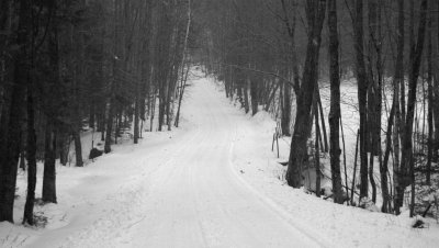DSC_3829a.jpg