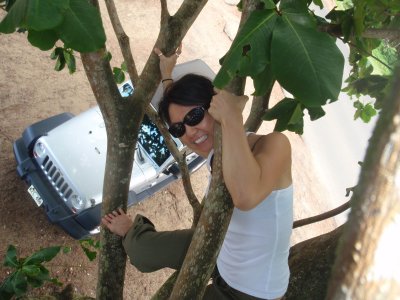 Wendy in a tree, Hanalei Bay, Kauai
