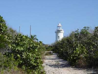 Road to lighthouse.jpg