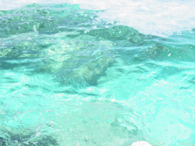 Water.jpg