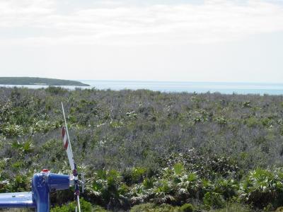 Southern view.jpg