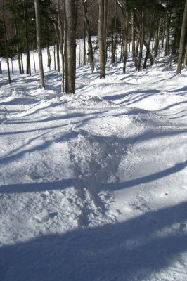 Berkshire East (March 2008)