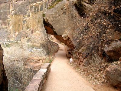 Path overhang, Zion National Park, UT