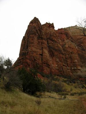 Zion National Park, UT - VI