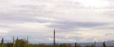 Saguaro National Park, West 2