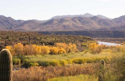 December Colors In The Arizona Desert