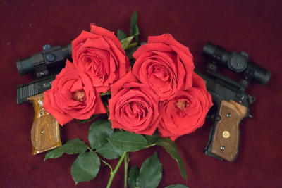 g3/26/481826/3/56111285.2992ScopedGunsRosesw.jpg